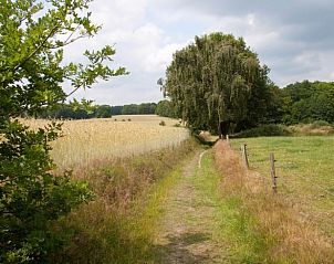 Landelijk wandelpad in de buurt van vakantiehuisje in Hezingen, Twente.