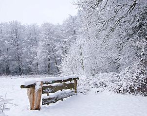 Sneeuwlandschap met houten hek bij vakantiehuisje in Hezingen, Twente, Overijssel.