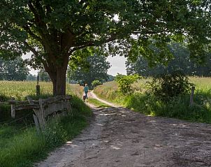Fietser op landelijk pad nabij vakantiehuisje in Hezingen, Twente, Overijssel.