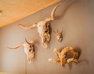 Unterkunft 520913 - Ferienhaus Twente - Vakantiehuis in Hezingen