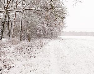 Unterkunft 520913 - Ferienhaus Twente - Vakantiehuis in Hezingen