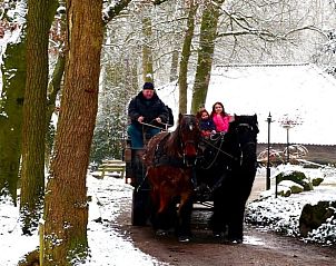 Unterkunft 520913 - Ferienhaus Twente - Vakantiehuis in Hezingen