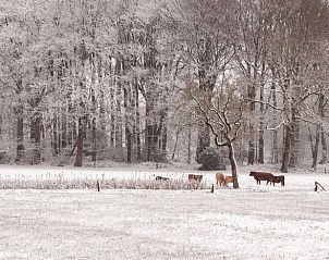 Unterkunft 520913 - Ferienhaus Twente - Vakantiehuis in Hezingen