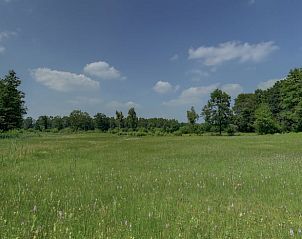 Weidse groene velden rondom vakantiehuisje in Hezingen, ideaal voor natuurliefhebbers, Twente, Overijssel.