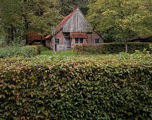 Unterkunft 521021 - Ferienhaus Twente - Huisje in Beuningen