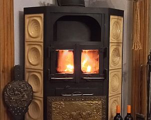 Knusse houtkachel in vakantiehuisje in Geesteren, perfect voor warme avonden in Twente, Overijssel.