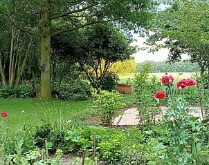 Weelderige tuin bij Vakantiehuis in De Pollen, Geesteren, met kleurrijke bloemen.
