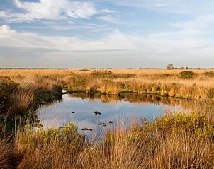 Prachtig natuurgebied in de omgeving van Vakantiehuis in De Pollen, Geesteren, met rustgevend uitzicht.