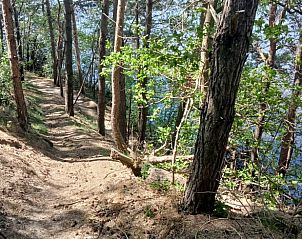 Bosrijk wandelpad dichtbij Vakantiehuis in De Pollen, Geesteren, ideaal voor natuurliefhebbers.