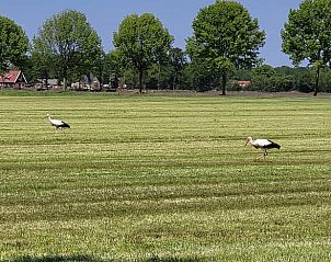 Guest house 521303 - Bed and Breakfast Twente - Vakantiehuis in Overdinkel