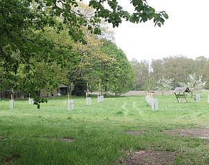 Landschap rondom Huisje in Overdinkel, vakantiehuis in Twente, Overijssel.