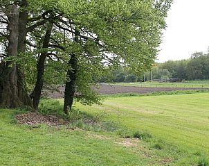 Verblijf 521304 - Vakantiewoning Twente - Huisje in Overdinkel