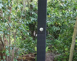 Buitendouche omgeven door groen bij Vakantiehuisje in Overdinkel, Twente voor een verfrissende ervaring.