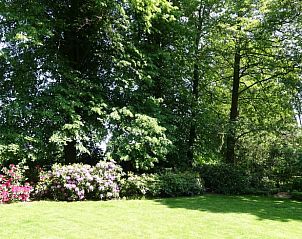 Uitgestrekte groene tuin bij Vakantiehuisje in Overdinkel, Twente met kleurrijke bloemen en schaduwrijke bomen.