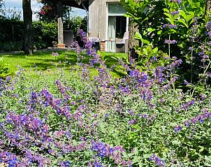 Guest house 521306 - Bed and Breakfast Twente - Huisje in Overdinkel