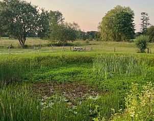 Natuurrijke omgeving met vijver bij Vakantiehuisje in Overdinkel, ideaal voor natuurliefhebbers in Twente, Overijssel.