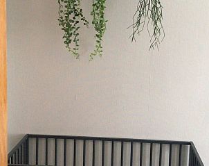 Unterkunft 521502 - Ferienhaus Twente - Huisje in Weerselo