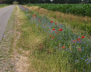 Unterkunft 521503 - Ferienhaus Twente - Vakantiehuis in Weerselo