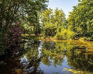 Unterkunft 521609 - Ferienhaus Twente - OV682