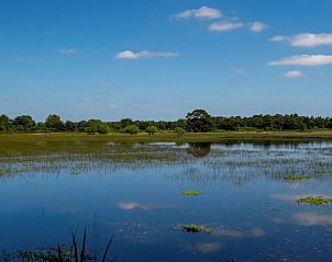 Unterkunft 521609 - Ferienhaus Twente - OV682
