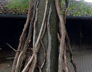 Unterkunft 521611 - Ferienhaus Twente - Huisje in Tilligte