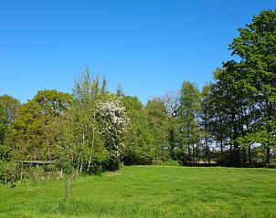 Unterkunft 521612 - Ferienhaus Twente - Huisje in Tilligte
