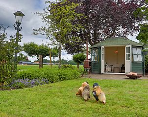 Unterkunft 521612 - Ferienhaus Twente - Huisje in Tilligte