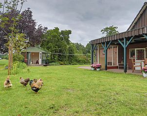 Unterkunft 521612 - Ferienhaus Twente - Huisje in Tilligte
