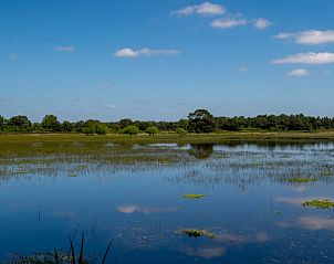 Unterkunft 521613 - Ferienhaus Twente - Vakantiehuisje in Tilligte