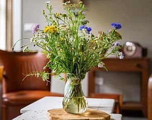 Guest house 521617 - Holiday property Twente - 't Veurhuus