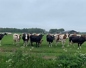 Verblijf 521716 - Vakantiewoning Twente - Huisje in Reutum