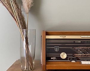 Verblijf 521726 - Vakantiewoning Twente - Huisje in Reutum