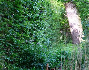 Verblijf 521726 - Vakantiewoning Twente - Huisje in Reutum