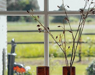 Decoratieve ramen in Huisje in Rijssen, vakantiehuis in Twente, Overijssel, met uitzicht op de natuur.