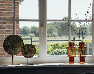 Gezellige raamdecoratie in Huisje in Rijssen, vakantieaccommodatie in Twente, Overijssel, met uitzicht op groene velden.