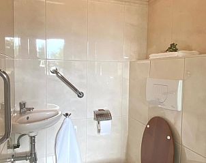 Compacte badkamer in Huisje in Rijssen, vakantiehuis in Twente, Overijssel, met moderne faciliteiten.