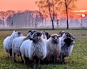 Guest house 521831 - Holiday property Twente - Vakantiehuisje in Rijssen