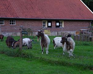 Verblijf 521908 - Vakantiewoning Twente - Vakantiehuis in Ambt Delden