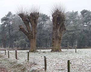Verblijf 521914 - Vakantiewoning Twente - Vakantiehuis in Ambt Delden