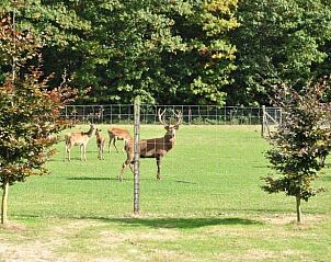 Verblijf 521918 - Vakantiewoning Twente - Vakantiehuis in Ambt Delden