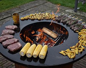 Verblijf 521918 - Vakantiewoning Twente - Vakantiehuis in Ambt Delden