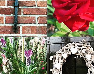 Unterkunft 521920 - Ferienhaus Twente - Vakantiehuisje in Ambt Delden