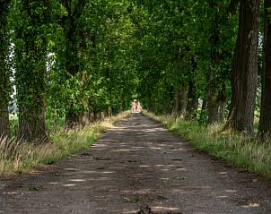 Bomenlaan naar Vakantiehuisje in Ambt Delden, serene omgeving in Twente.