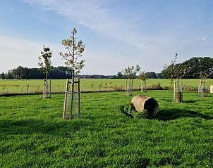 Uitgestrekt groen landschap bij Vakantiehuisje in Ambt Delden, Twente.