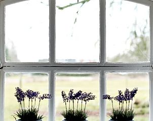 Guest house 522002 - Holiday property Twente - Huisje in Rossum