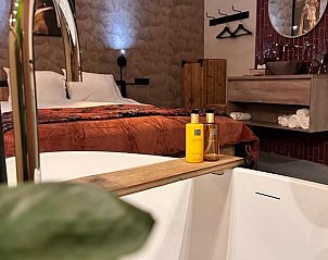 Guest house 522003 - Holiday property Twente - Huisje in Rossum