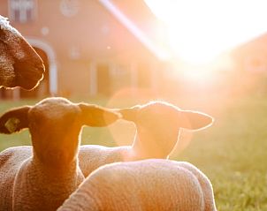 Guest house 522003 - Holiday property Twente - Huisje in Rossum