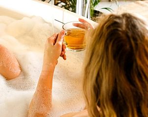 Guest house 522003 - Holiday property Twente - Huisje in Rossum