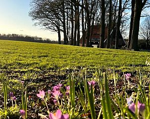 Guest house 522003 - Holiday property Twente - Huisje in Rossum