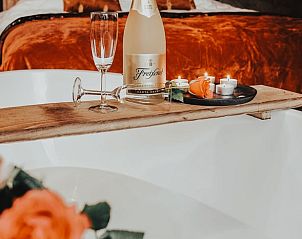 Guest house 522003 - Holiday property Twente - Huisje in Rossum